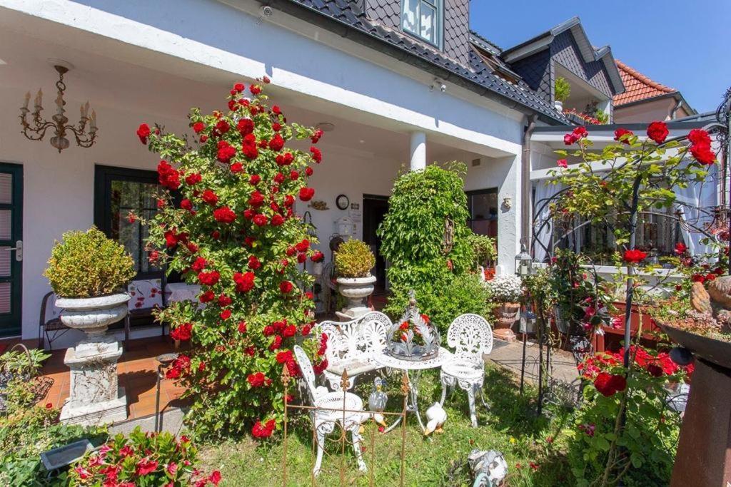 Cafesahne U Pension Dranske Kültér fotó